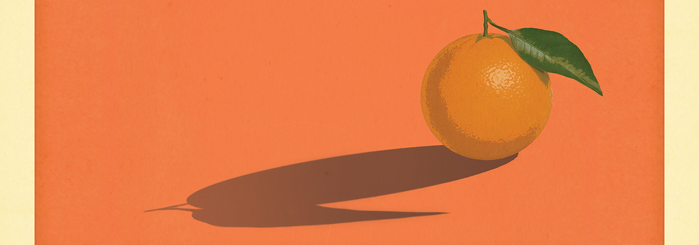 OC Snapshots header image of an orange