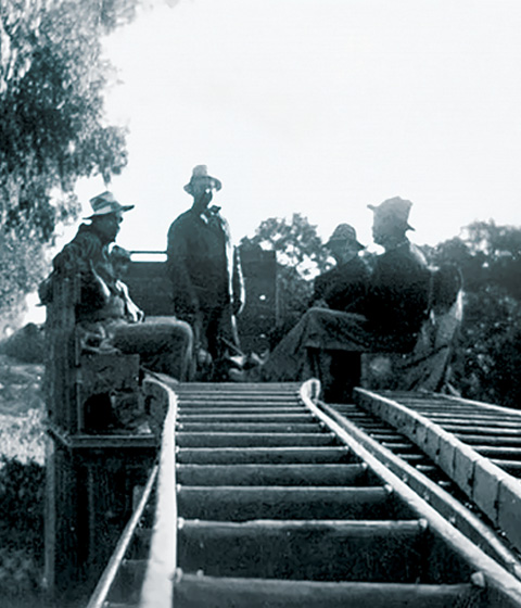 Orange Pickers with Ladders in Orange County, California.