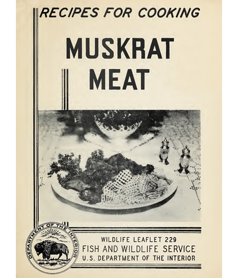 Cover image for recipes for cooking with muskrat meat