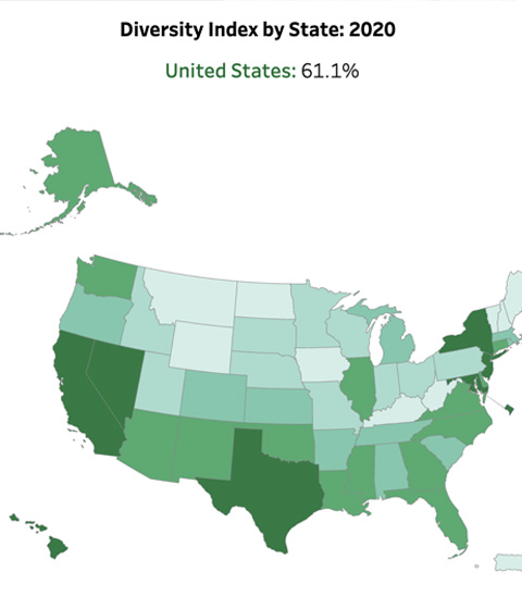 screenshot of chart from U.S. census