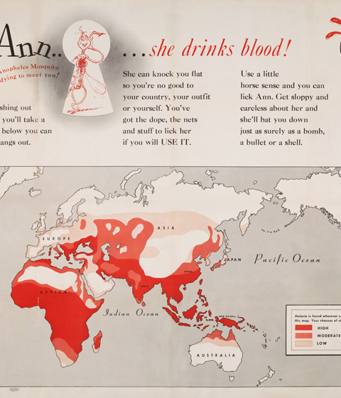 illustration about malaria risk drawn by dr. seuss