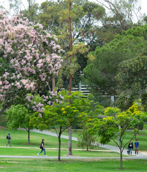 view of Aldrich Park