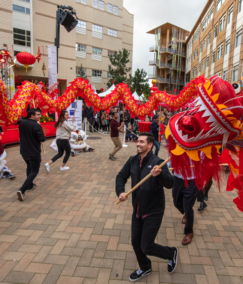 lunar new year dragon dance