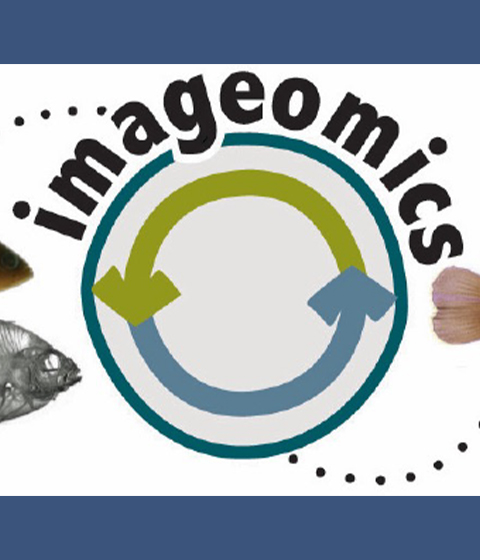 imageomics logo