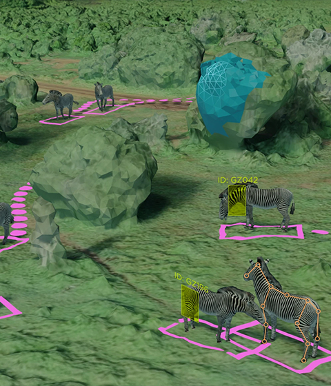 image of zebras with AI overlay