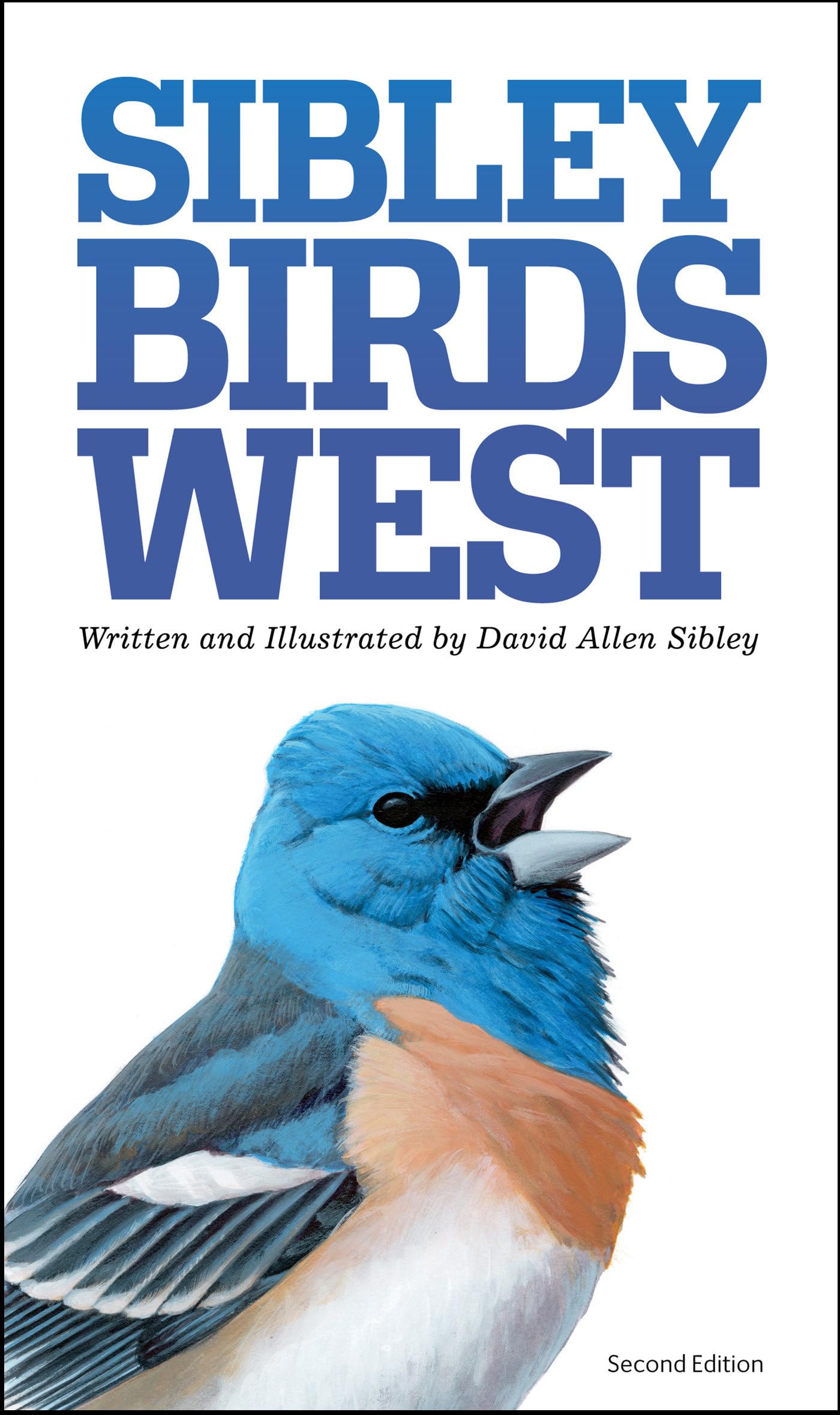 page from Sibley birds west: field guide to birds of western North America
