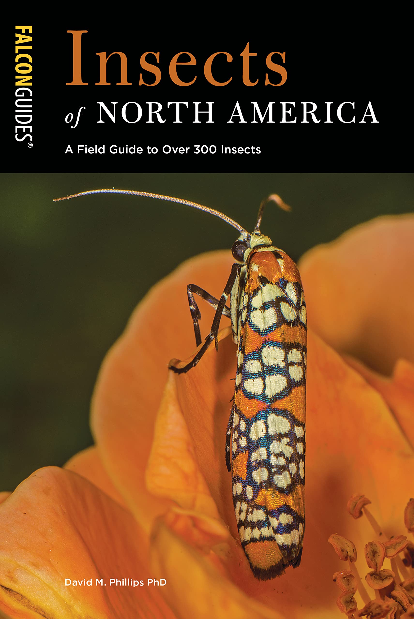 
page from Insects of North America : a field guide to over 300 insects