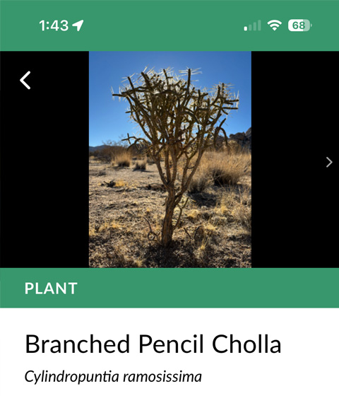 Mobile app screenshot.