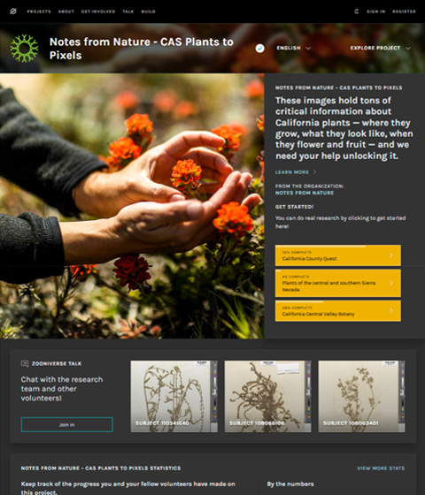 Web screenshot
