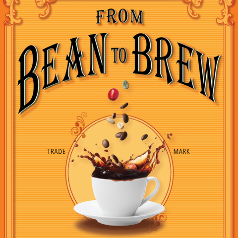 From Bean to Brew: Coffee and Culture