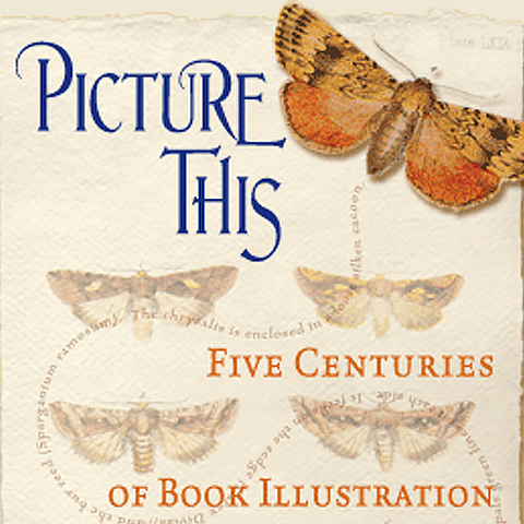 Picture This: Five Centuries of Book Illustration
